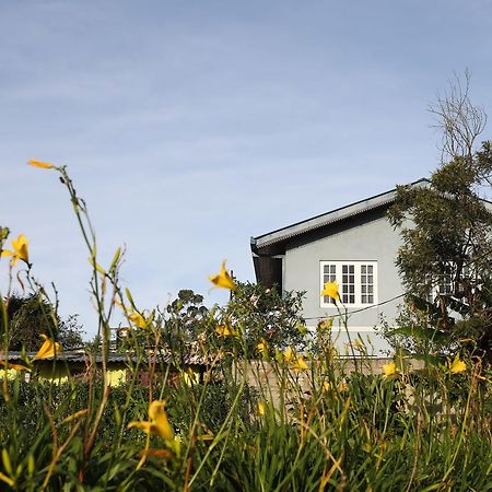 Pedro View Homestay Nuwara Eliya Bagian luar foto