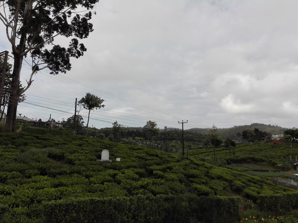 Pedro View Homestay Nuwara Eliya Bagian luar foto