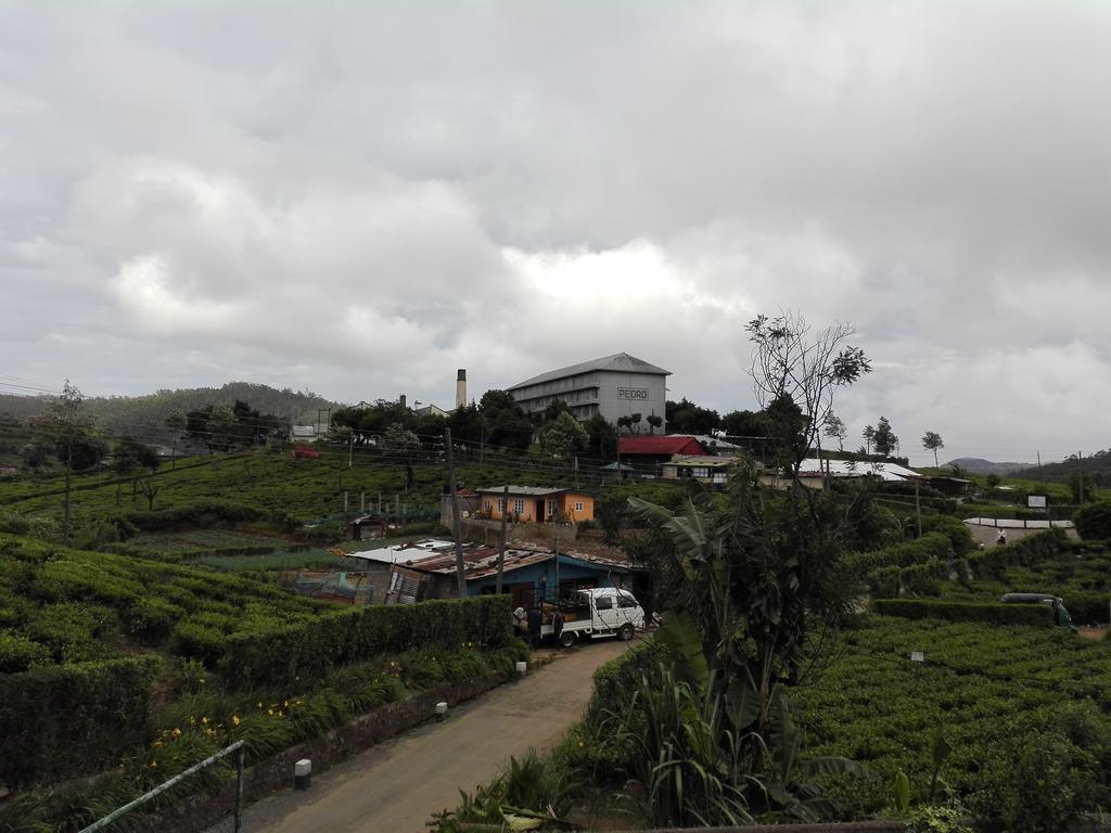 Pedro View Homestay Nuwara Eliya Bagian luar foto