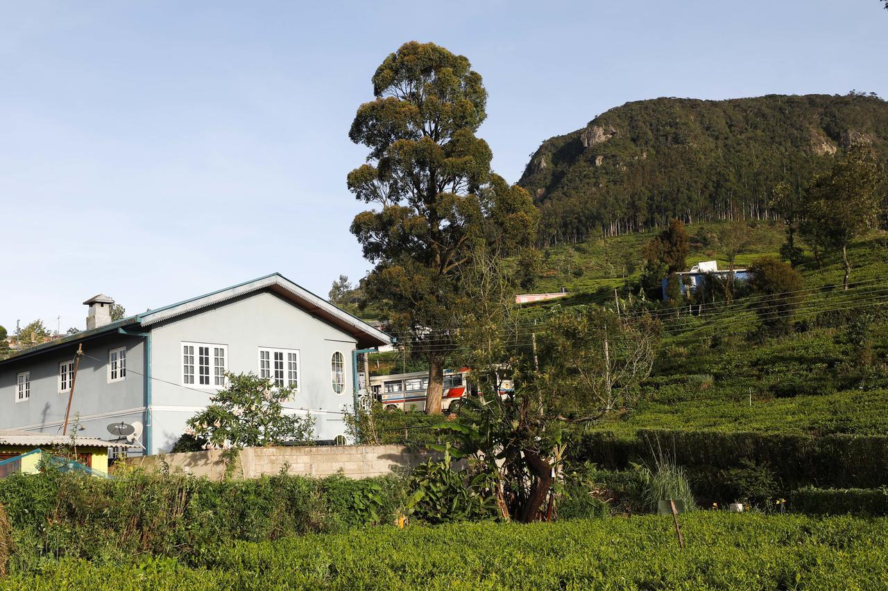 Pedro View Homestay Nuwara Eliya Bagian luar foto