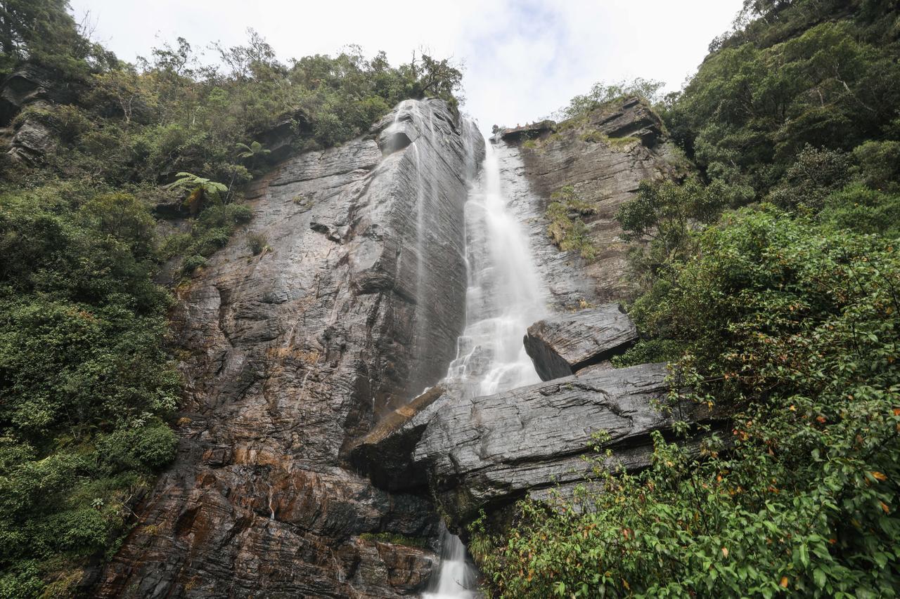 Pedro View Homestay Nuwara Eliya Bagian luar foto
